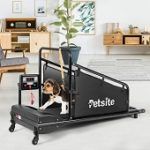 Best Dog Treadmills For Sale In 2020 Reviews & Buying Guide